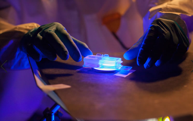 Publication – Management of all three phases of wound healing through the induction of fluorescence biomodulation using fluorescence light energy