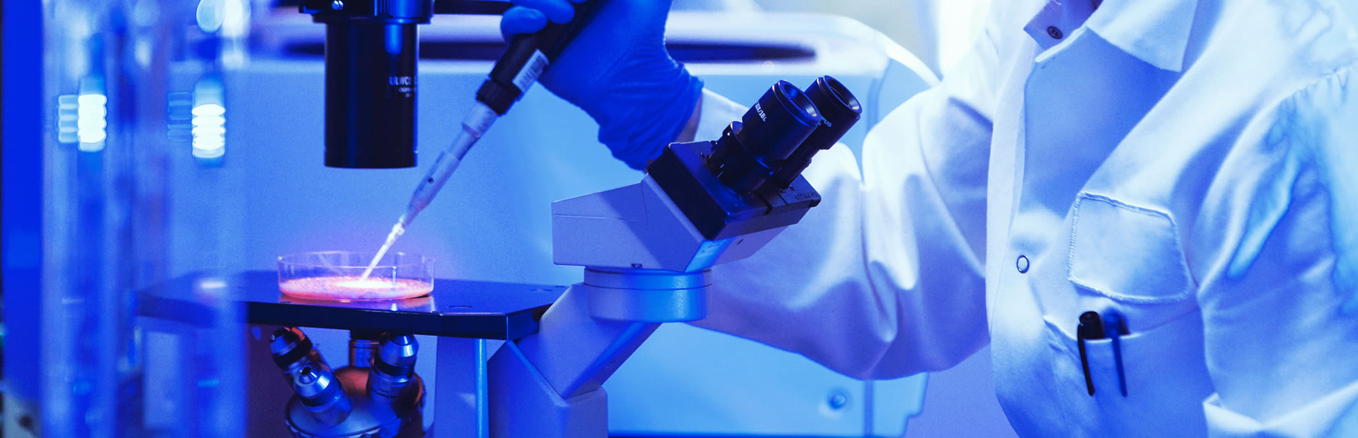 領(lǐng)先技術(shù)