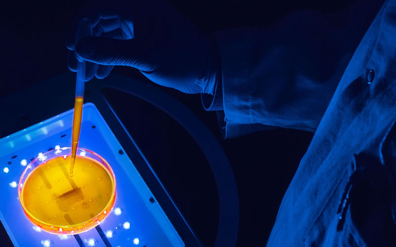 LumiHeal快訊-我們先進的傷口護理產品